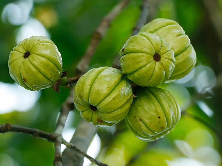 Imagen de Garcinia Cambogia